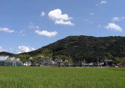 岩門城跡（城山）